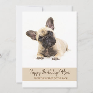 Happy Birthday Mom French Bulldog Photo Holiday Card