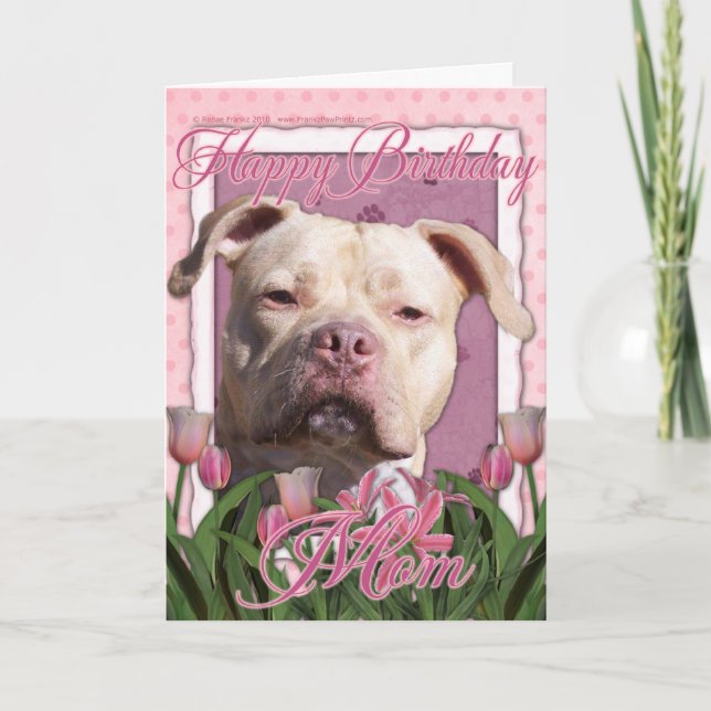 Happy Birthday Mom - Pitbull - Jersey Girl Card (Front)