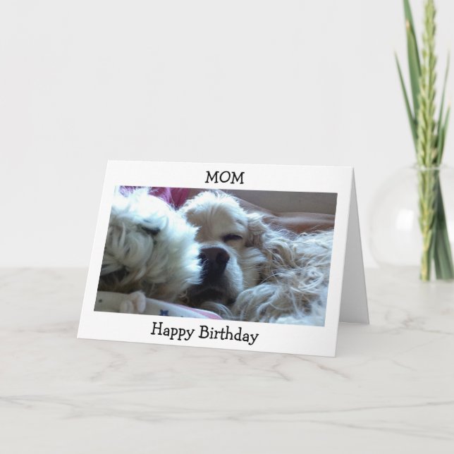 HAPPY BIRTHDAY MOM-TAKE NAP/DO WHATEVER U WISH CARD (Front)