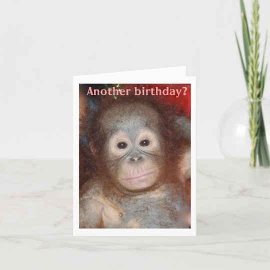 Happy Birthday Monkey Around Card | Zazzle.co.uk