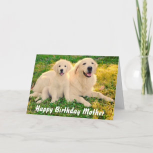 Happy Birthday Mother Cute Golden Retriever Dogs Card