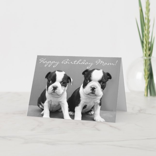 Happy Birthday Mum Boston Terrier Puppies card (Front)