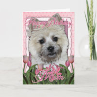 Happy Birthday Mum - Cairn Terrier - Teddy Bear