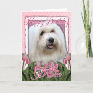 Happy Birthday Mum - Coton de Tulear Card