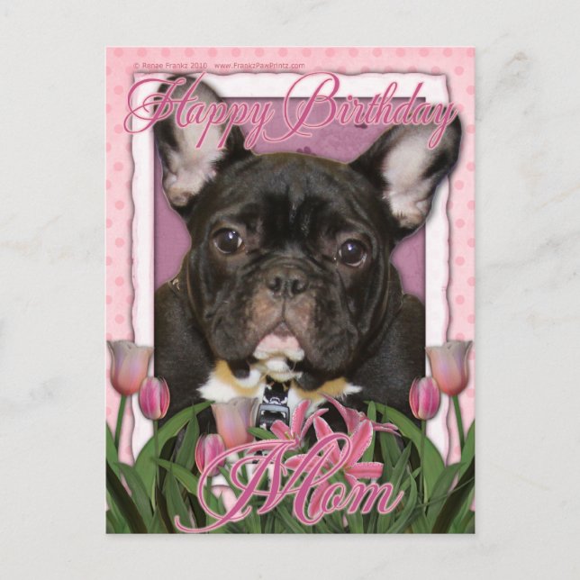 Happy Birthday Mum - French Bulldog - Teal Postcard (Front)