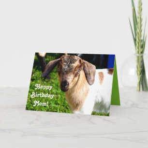 Happy Birthday Mum from Favourite Kid (with Goat) Card