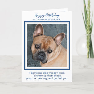 Happy Birthday Mum Funny Dog Worlds Best Dog Mum Card