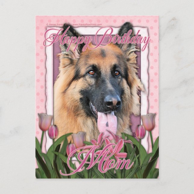 Happy Birthday Mum - German Shepherd - Chance Postcard (Front)