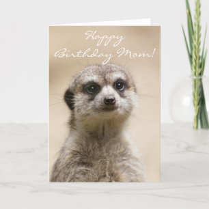 Happy Birthday Mum Meerkat Card