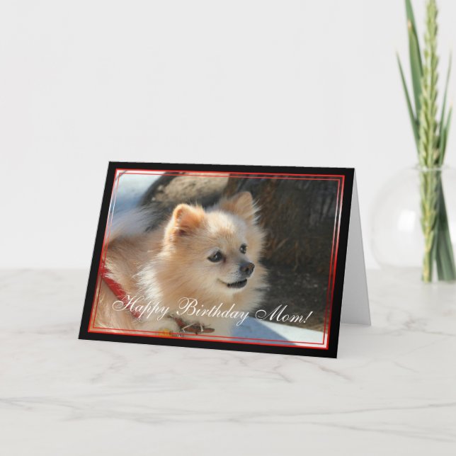 Happy Birthday Mum Pomeranian greeting card (Front)
