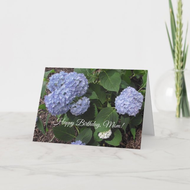 Happy Birthday Mum, Pretty Purple Hibiscus Card (Front)