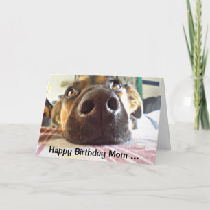 Happy Birthday Mum the One I look up to! Cute Dog Card