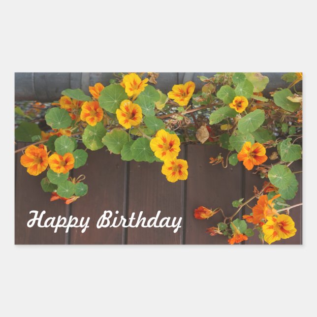 Happy Birthday Nasturtium Stickers (Front)