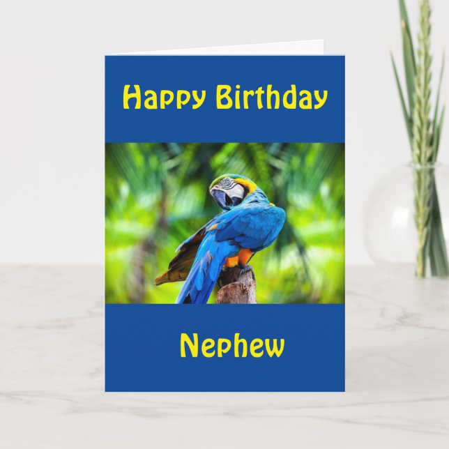 HAPPY BIRTHDAY "NEPHEW" CARD (Front)