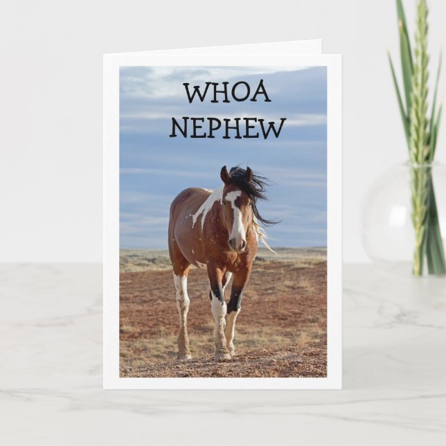 HAPPY BIRTHDAY "NEPHEW" CARD (Front)