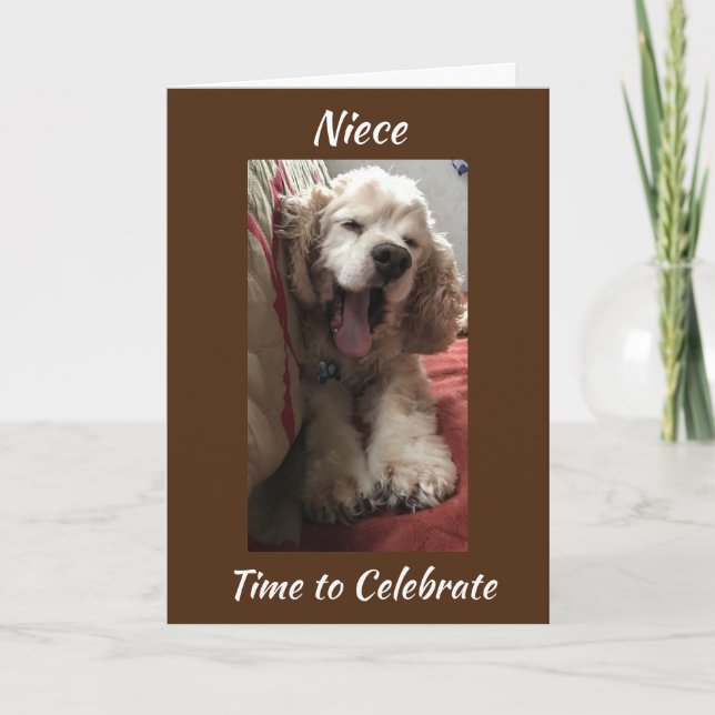 HAPPY BIRTHDAY ***NIECE*** YOU ARE "SPECIAL" CARD (Front)