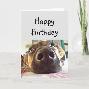 Happy Birthday NOSE Cute Dog Card