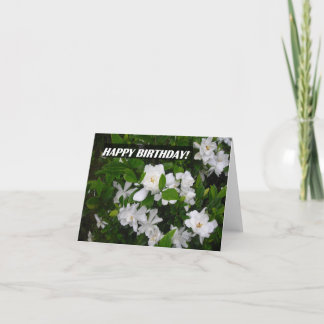 Happy Birthday NoteCard Featuring Gardenia Blooms