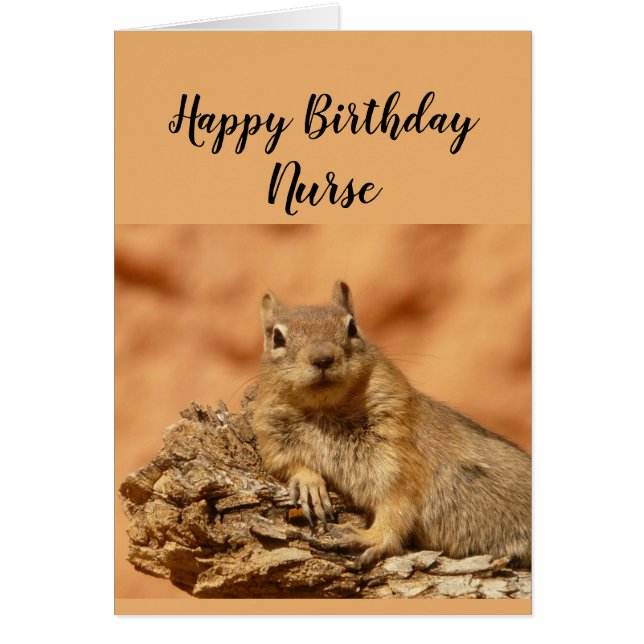 Happy Birthday Nurse Funny Squirrel Relax (Front)