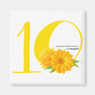happy birthday : October birth flower Marigold Magnet