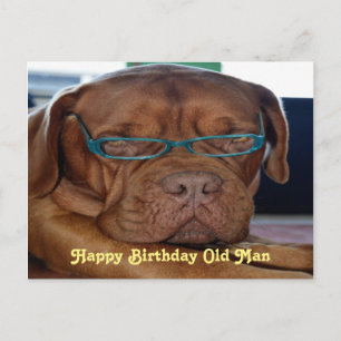 Happy Birthday old man dog print Postcard