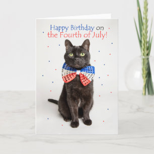 Happy Birthday on Fourth of July Cute Cat Humour Holiday Card