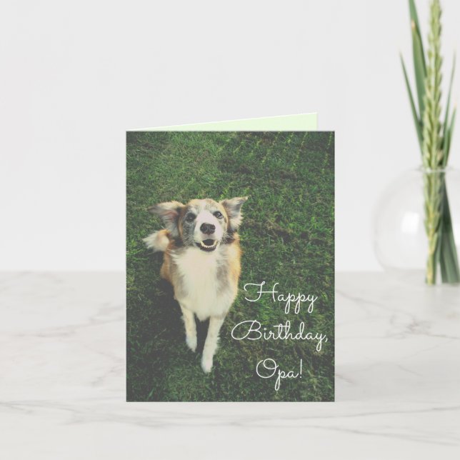 Happy Birthday, Opa! Have a Ball! Cute Dog Card (Front)