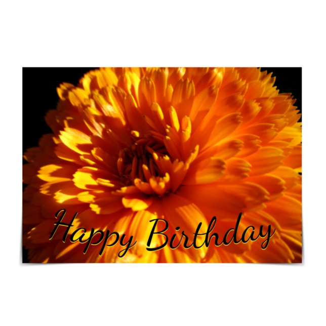 "Happy Birthday" Orange Chrysanthemum Card (Creator Uploaded)