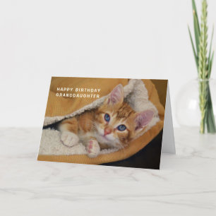 Happy Birthday, Orange Tabby Kitten in Bed Card