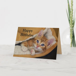 Happy Birthday, Orange Tabby Kitten in Bed Card