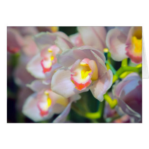 Happy Birthday Orchid Restyle Greeting Card