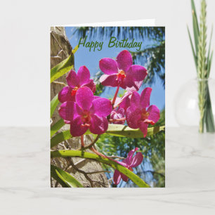 Happy Birthday Orchids Greeting Card