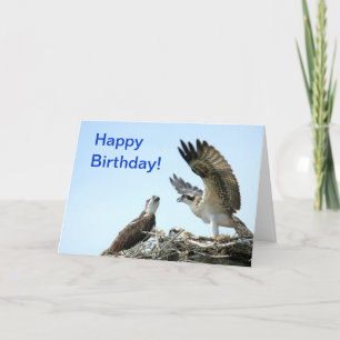 Happy Birthday osprey flapping wings Card