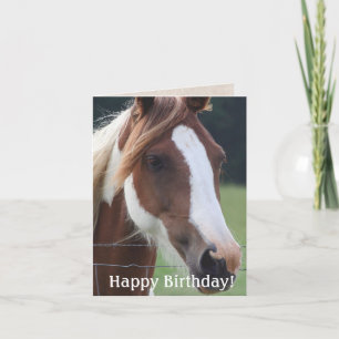 Happy  Birthday Paint Horse Equestrian Riding Card