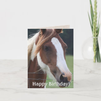 Happy  Birthday Paint Horse Equestrian Riding Card