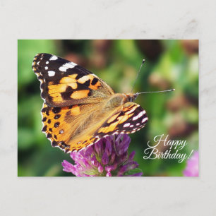 Happy Birthday Painted Lady Butterfly Postcard