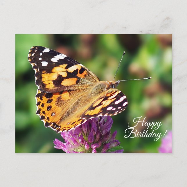 Happy Birthday Painted Lady Butterfly Postcard (Front)