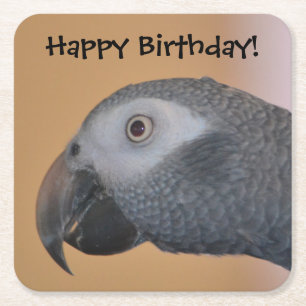 Happy Birthday Parrot Party Coasters