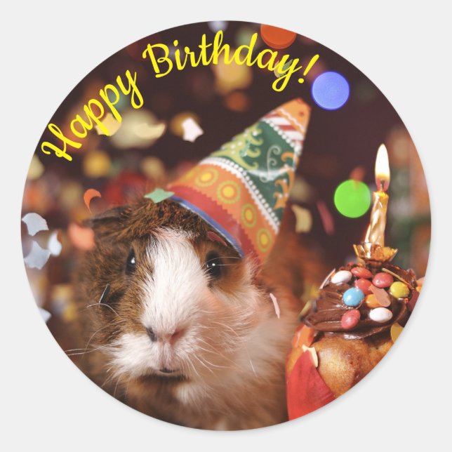 Happy Birthday - Party Animal Guinea Pig Paper Pla Classic Round Sticker (Front)