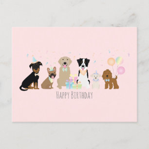 Happy Birthday Party Dogs Pink Postcard