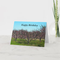 Happy Birthday Peach Orchard in Full Bloom