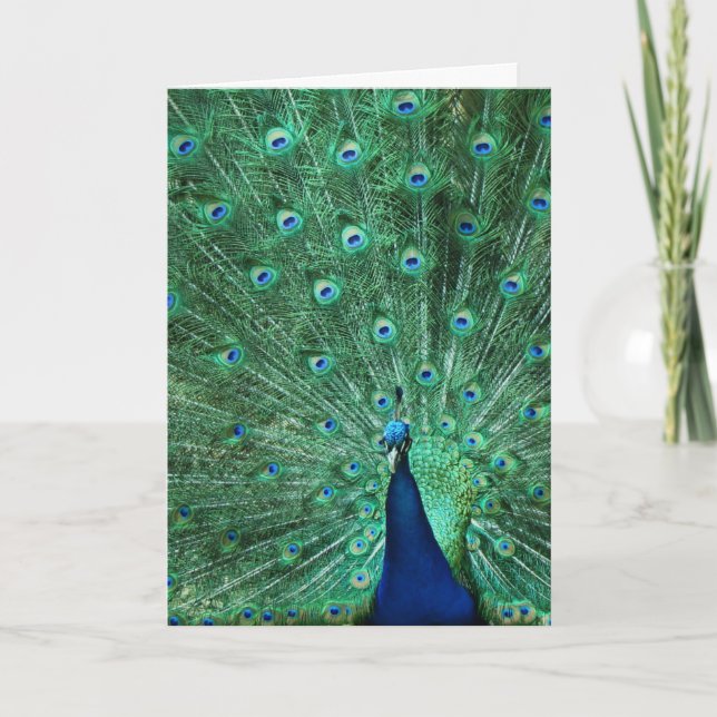 Happy Birthday Peacock Greeting Card (Front)