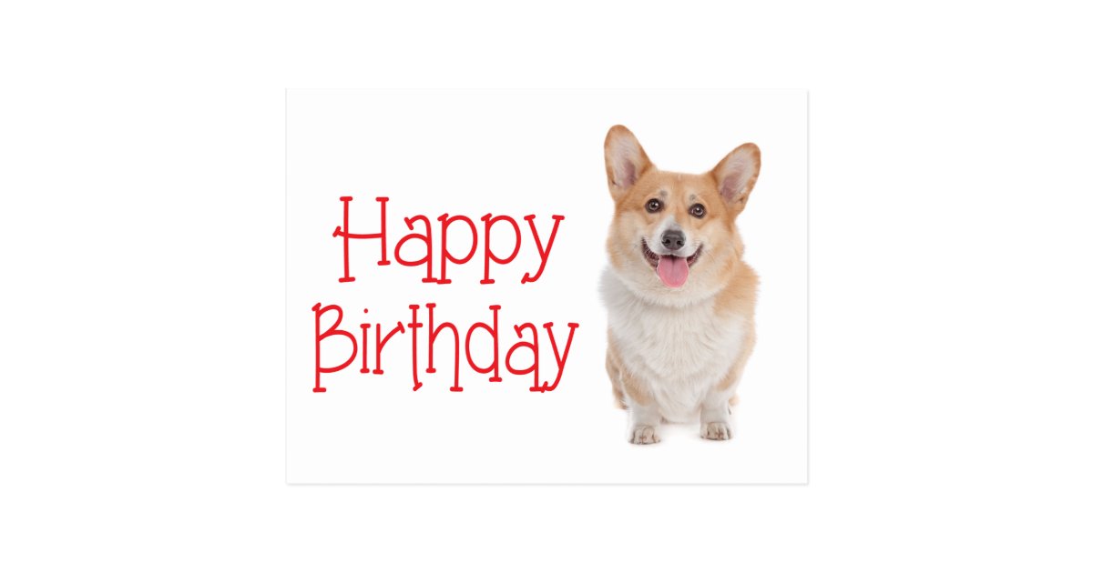 Happy Birthday Pembroke Corgi Puppy Dog Postcard Zazzle