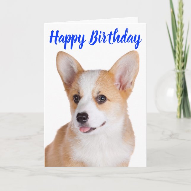 Happy Birthday Pembroke Welsh Corgi Puppy Dog Card (Front)