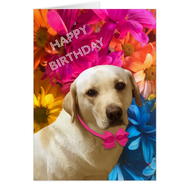Happy Birthday, Pet, Dog, Cute Labrador Flowers (Front)