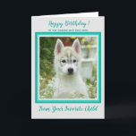 Happy Birthday - Pet Photo - Worlds Best Dog Mom Card<br><div class="desc">Happy Birthday to your World's Best Dog Mom from the dog ! Add your dog's photo and personalize from the Dog Mom's Favorite Child  .
Happy Birthday - Pet Photo - Worlds Best Dog Mom</div>