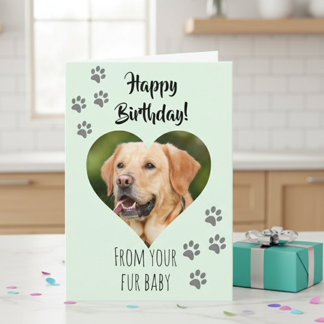 Happy Birthday Photo Dog Cat Pet Fur Baby Card (Creator Uploaded)