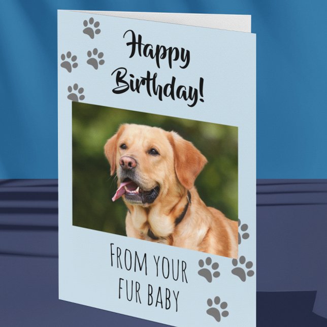 Happy Birthday Photo Dog Cat Pet Fur Baby Card (Creator Uploaded)