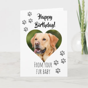 Happy Birthday Photo Dog Cat Pet Fur Baby Card