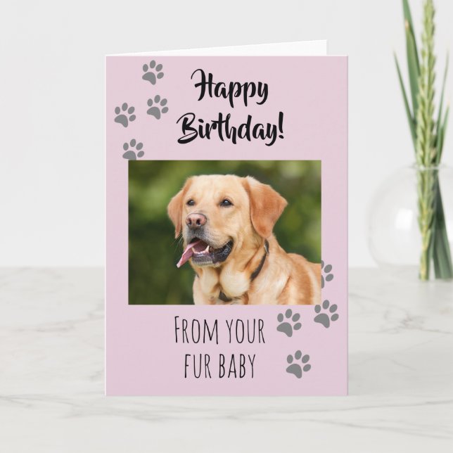 Happy Birthday Photo Dog Cat Pet Fur Baby Card (Front)